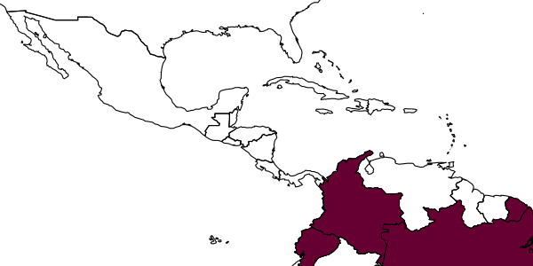 map of Messatoporus complexifemur     Santos, in Santos & Aguiar, 2013